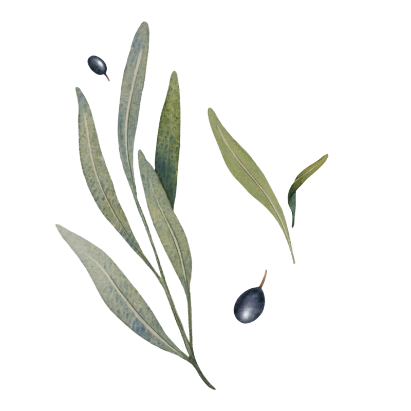 Restaurant Castagniers - Restaurant Méditerranéen - Chez Michel - meilleur resto CASTAGNIERS