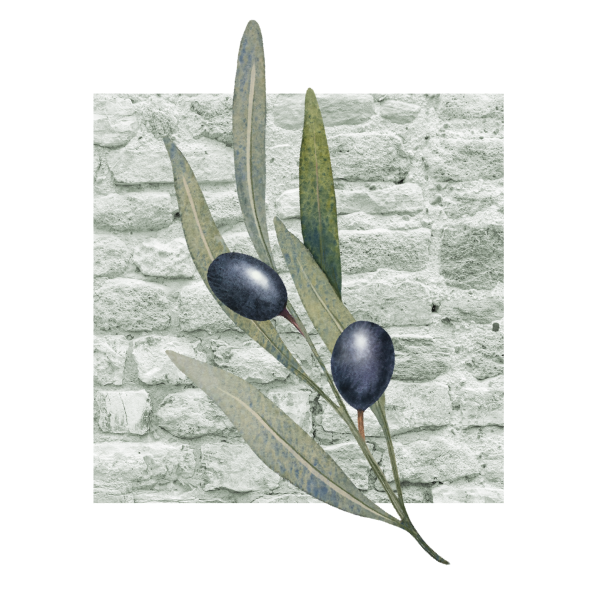 Restaurant Castagniers - Restaurant Méditerranéen - Chez Michel - top restaurant CASTAGNIERS