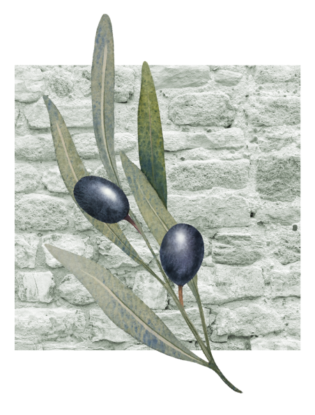 Restaurant Provençal -  Restaurant Chez Michel Castagniers - restaurant a faire CASTAGNIERS