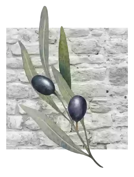 Repas de groupe - Chez Michel - restaurant CASTAGNIERS - restaurant a faire CASTAGNIERS